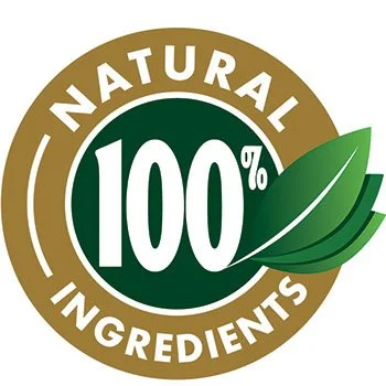 NeuroZoom NeuroZoom all natural vegan ingredients